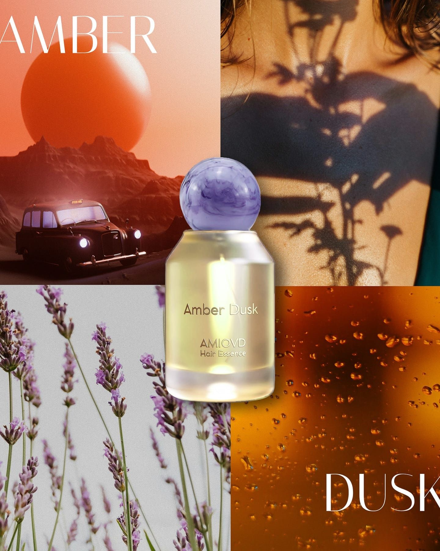 Amber Dusk - Amioud - Eau de Parfum x Capelli 50ML