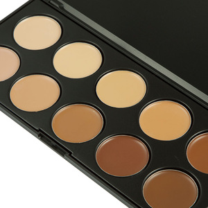 10 Color Makeup Eye Face Cosmetic Concealer