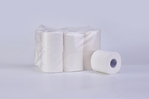 Custom Printed embossing Bath Roll dissolvable Toilet Paper in Bales