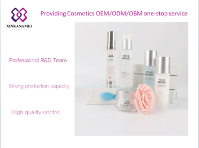 Manufacture Customized Cosmetics Hot Selling Beautiful Hand Cream Skin Care Cream