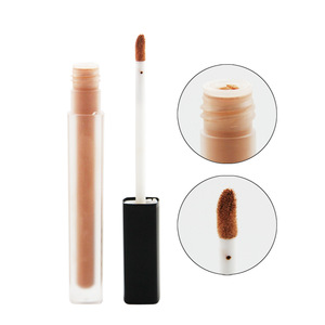 No brand Waterproof High definition Liquid Concealer OEM