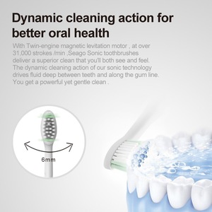 SEAGO SG987-2 New arrival Patented IPX7 Rechargeable Electric Sonic toothbrush with replacement toothbrush head