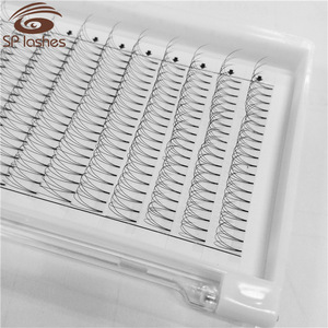 Best volume lashes Korean PBT 3D 4D Premade fans W eyelashes extensions