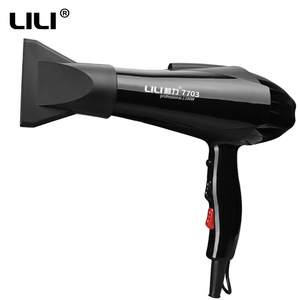 Concentrator Nozzle Professional AC Motor Hair Dryer Salon Hair Dryer