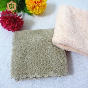 Coral fleece fabric Top Quality Factory Supply GSM500G Coral Fleece Edgeless Multipurpose Microfiber Towel For Car Cleaning