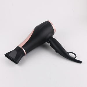Custom Travel household hotel hair dryer