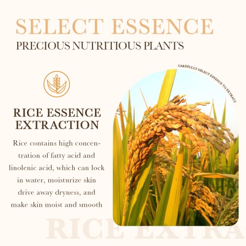 Organic Skincare Manufacturer Guangzhou | Leafmetics Small MOQ
