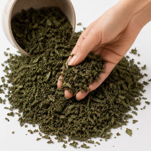 premium moroccan dried mint leaves