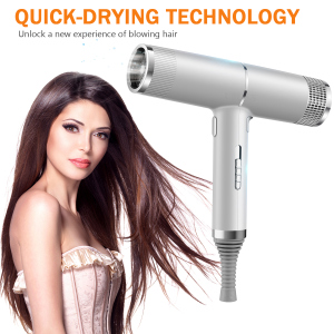2021 DC Motor Hair Dryer Professional Salon Hair Blow Dryer Wholesale