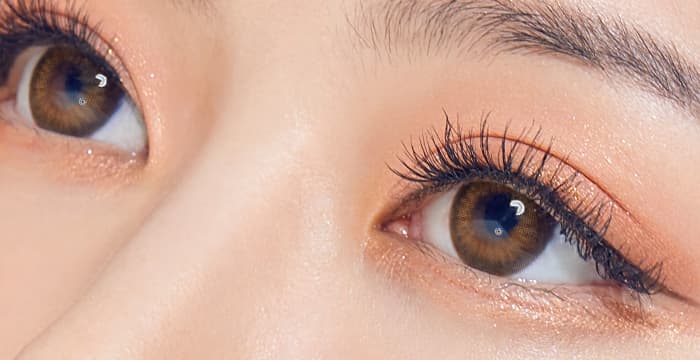Contact Lens (Spanish Circle 1DAY Brown)
