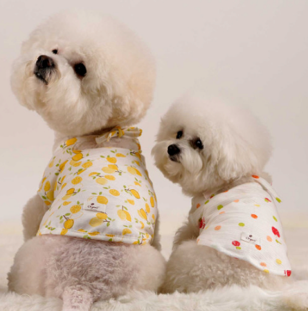 Dog Apparel Clothings Toys Organic