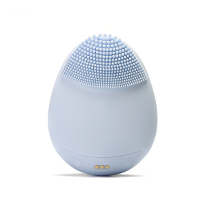 New product ideas 2021 Private Label Brush Facial Brush Device Portable Facial Cleansing Brush