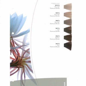 Professional color caralogue and hair color chart for Hair Color Cream/Hair Dye