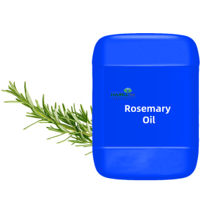 Rosemary  oil extract 100% natural plant for Food additive