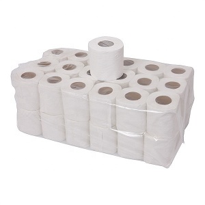 Water dissolved toilet paper bathroom tissue