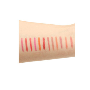 Wholesale High Quality Makeup Mutli Colors Waterproof Moisturizing Lip Liner Pencil Private Label