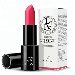 Xmas gift high quality high level cases matte lipstick with competitive price for private label