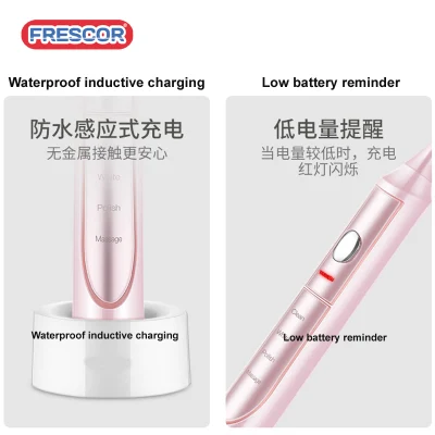 2019 New Arrival Adult Waterproof Ipx7 Rechargeable Sonic Electric Toothbrush