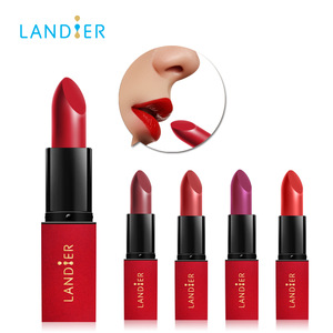 Best Skin Care Organic Natural Ingresients OEM Matte Makeup Lipstick for Women