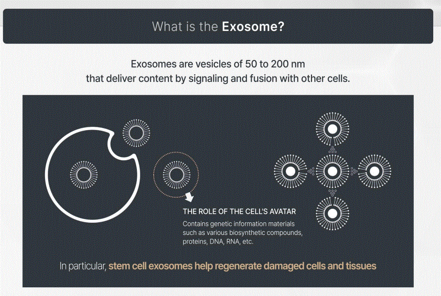 Cellexosome blacklabel skin booster