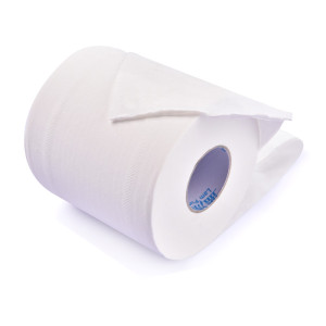 Custom Design WT-013 Sanitary Roll Toilet Paper