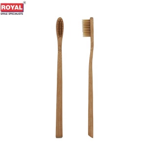 eco-friendly biodegradable charcoal filaments bamboo toothbrush