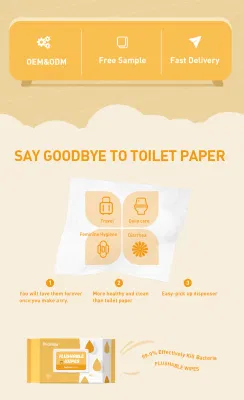 Hygiene Bioedegradable Wet Wipes Flushable Toilet Wet Wipes
