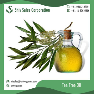 Medicinal Tea Tree Oil Used for Dermatology and Various Skin Conditions