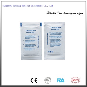 OEM alcohols  free Chlorhexidine Antiseptic Wipes