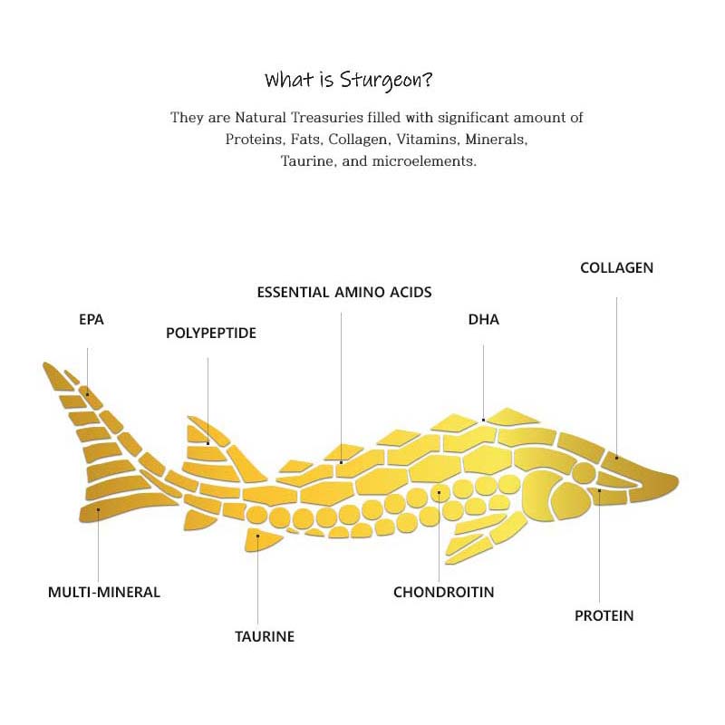 The Zoeun Skin Total Conditioner , K-Beauty Skin Care (Sturgeon Cosmetics)