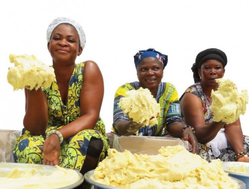 Unrifined Ghanaian shea butter