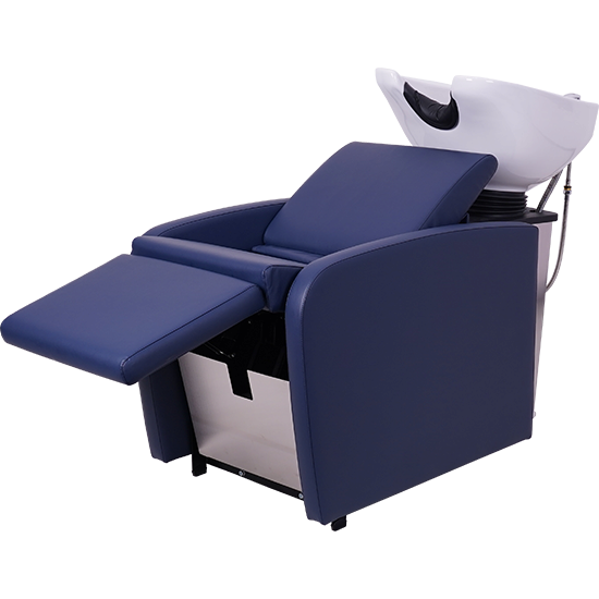 290S Electric backwash unit