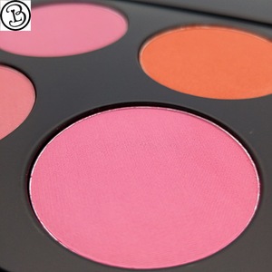 Accept OEM high pigment 10 Color blush palette