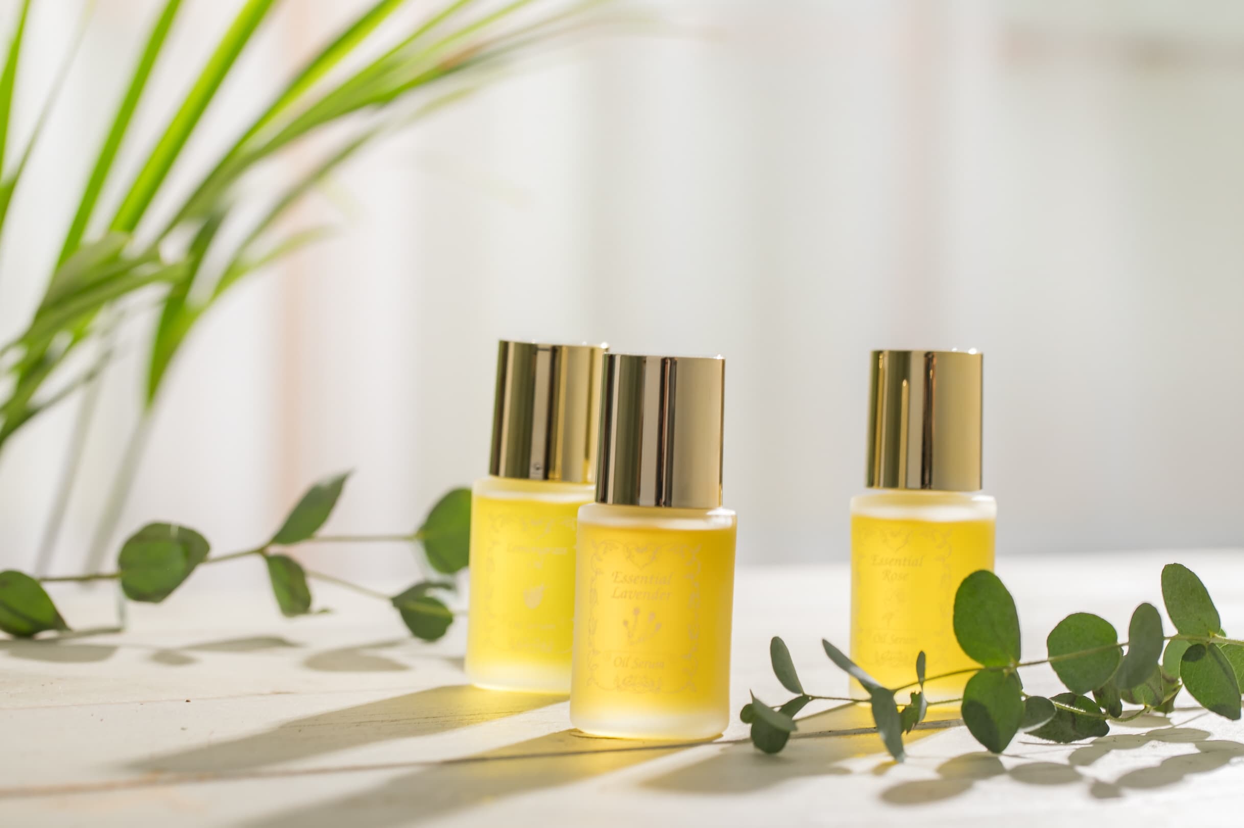 [aesthetic skincare cosmetics] facial care oil