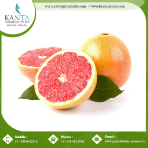 Bulk Price 100% Pure Grapefruit Pink Oil Essential Oil