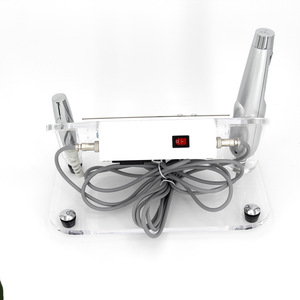 Cheap wholesale no needle free mesotherapy electroporation device