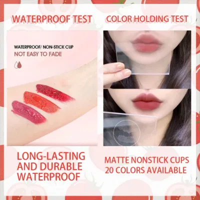Hot Sale High Pigment Lipgloss Makeup Summer Colors Cute Ice Cube Velvet Lip Glaze