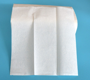 Intereaved N Z fold  Multifold Hand Paper Towel