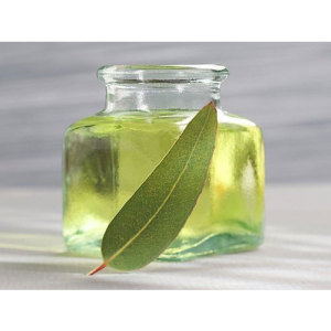 Organic Eucalyptus Oil For Cosmetic & Aromatherapy