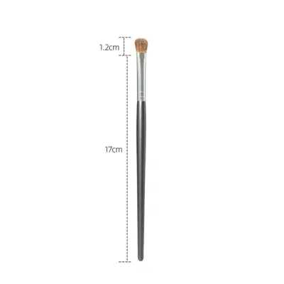 Portable Eye Premium Makeup Eyeliner Angled Brush Eyeshadow Brushes