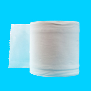 tissue paper roll in toilet bathroom tissue