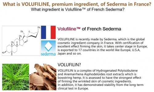 Niveola_VOLUFILINE VOLUME TOX ESSENCE