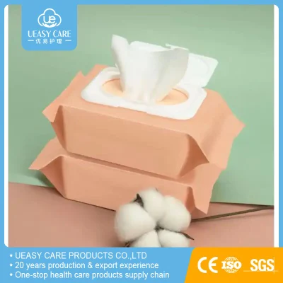 Disposable Gentle Eco Baby Water Wet Wipes Cleaning Soft Care 80PCS Bags OEM GSM Wipes