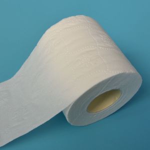 Factory Virgin material soft tissue toilet paper roll
