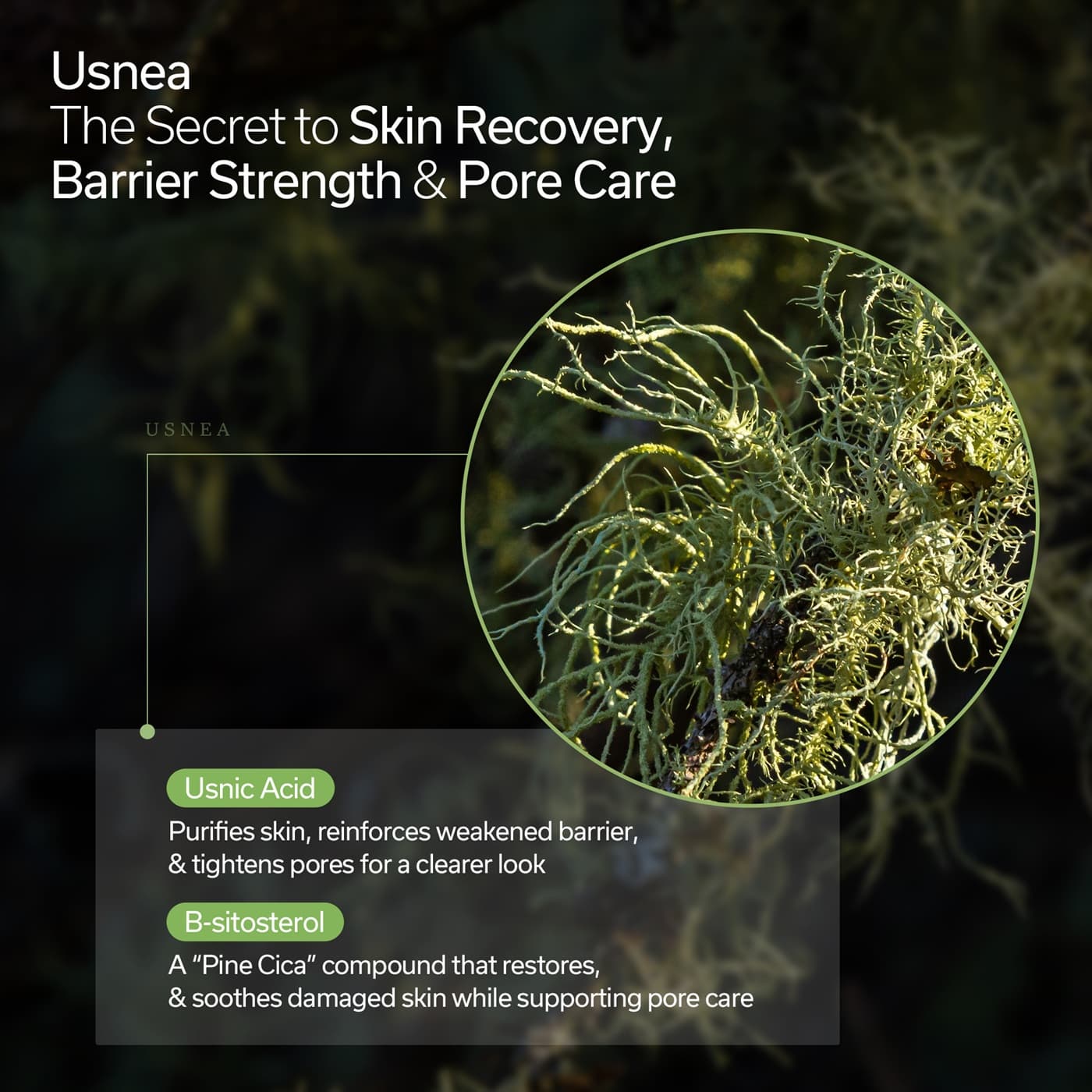 Usnear Wrapping Layer Cream 50ML Vegan PDRN Capsule Moisturizer for Elasticity, Hydration, Wrinkles