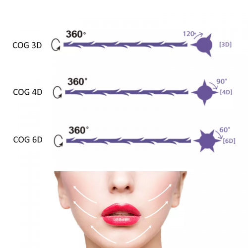 Low Price Cog Pdo Thread Lift L Cannula Thread for Face Eyebrow Lifting