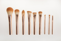High Quality Custom Aluminum Handle 9pcs Brush Set – Rose Gold