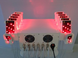 14 Paddles Lipo Laser System Vevazz