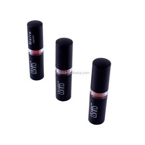 China wholesale OEM matte lip stick 10 colors available lip stick lipstick