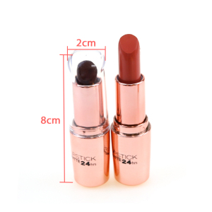 Factory Wholesale Low Price Cosmetics Multi-Colored Makeup Matte Waterproof Lipstick